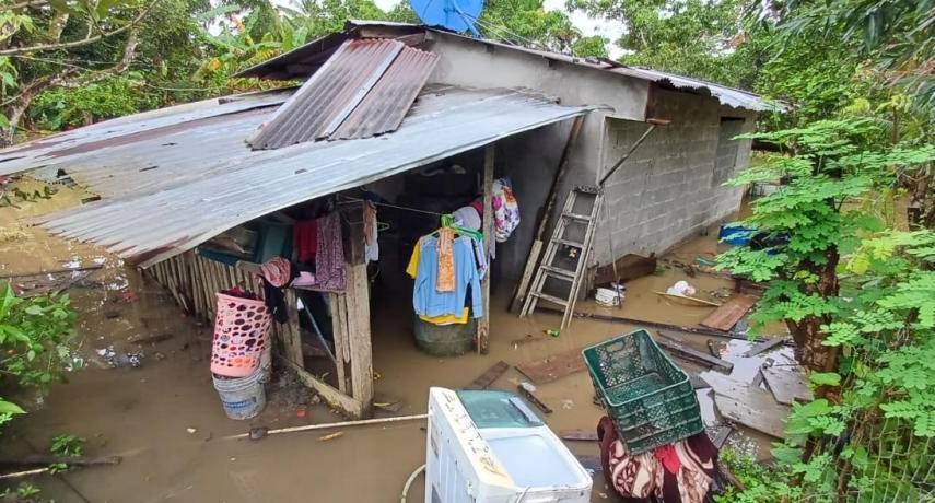 ml | Hogares afectados por las intensas lluvias.