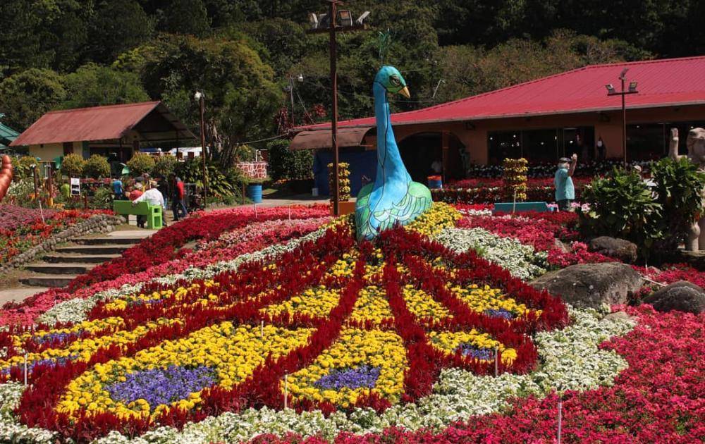 Los impresionantes jardines de la Feria de las Flores