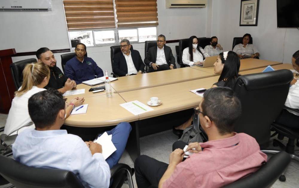 Instalan mesa de trabajo para abordar tema de permisos de poda y tala en  tramos de líneas de tensión eléctrica