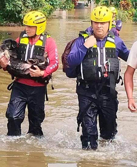 Los héroes en las emergencias