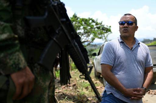 En Colombia, el cañón de la guerrilla y la coca