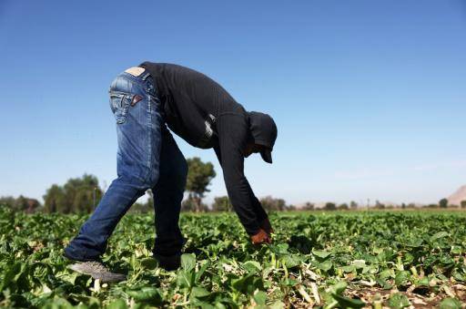 Tragedia de Baltimore resalta rol de los trabajadores latinos en EEUU