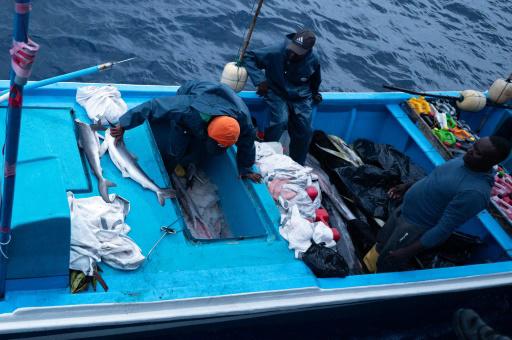 El terror de los pesqueros ilegales en una isla protegida de Colombia