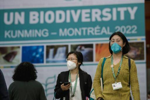 Proyecto De Acuerdo Sobre Biodiversidad De ONU Protege 30% Del Planeta