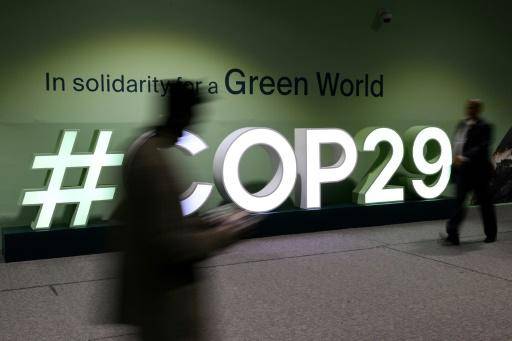 Más de 300 ONG instan a países en desarrollo a abandonar la COP29 tras propuesta inaceptable