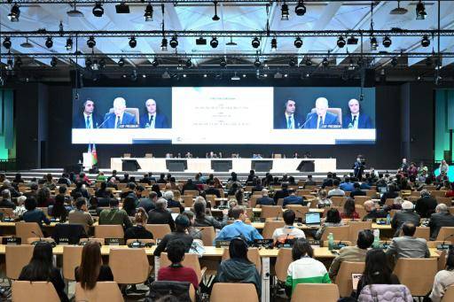 El plenario de la COP29 en Bakú, el 23 de noviembre de 2024