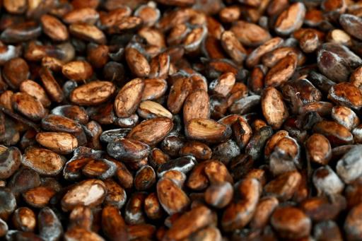 El cacao cotiza como oro en Ecuador y atrae al crimen organizado