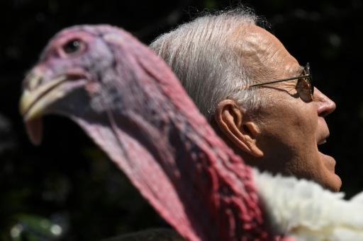 El presidente estadounidense, Joe Biden, indulta al pavo Peach, en los jardines de la Casa Blanca en Washington, el 25 de noviembre de 2024