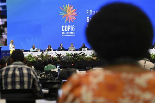 Se inaugura en Colombia la COP-16, encuentro cumbre de la biodiversidad