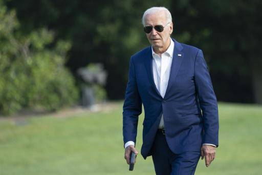 Los demócratas se reúnen para hablar de la candidatura de Biden