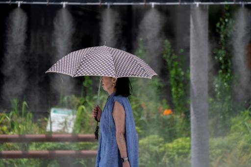 Seis muertos por una ola de calor en Japón