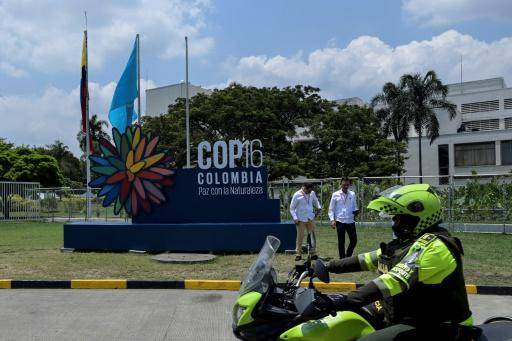 Se inaugura en Colombia la COP-16, encuentro cumbre de la biodiversidad