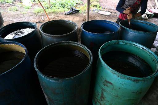 Vista de un laboratorio improvisado en el Cañón del Micay, suroeste de Colombia, donde se mezcla la hoja de coca con gasolina en barriles para fabricar la pasta base, que servirá luego a los narcos para producir cocaína