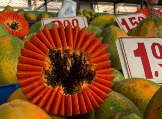 Fruto de nuestra tierra