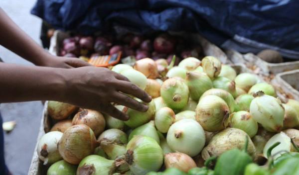 El MIDA contempla la importación de cebolla y jamón picnic y sus derivados