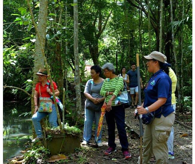 Parques, los pulmones verdes de la ciudad de Panamá