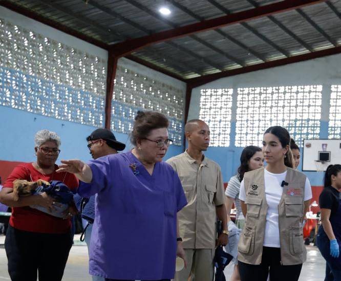 Continúa jornada de esterilización para felinos y caninos en Panamá