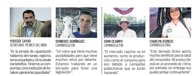 $!La producción y el consumo de leche de cabra crece en Panamá