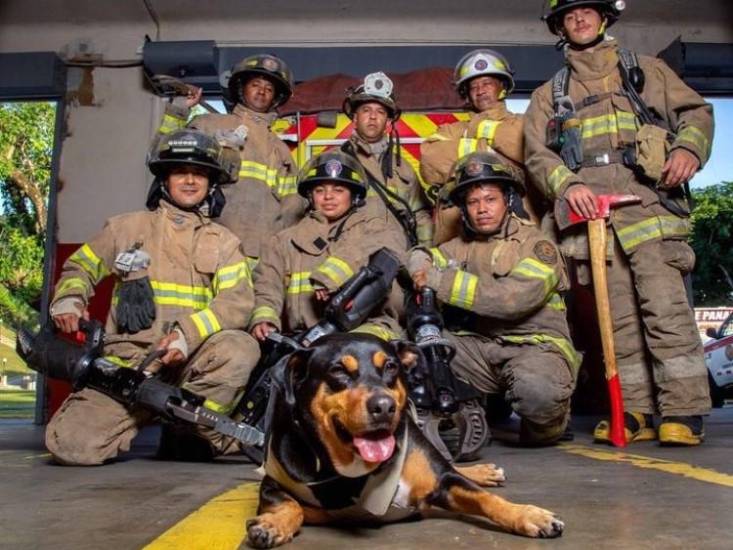 Bomberos le dan el último adiós al perro Cloro