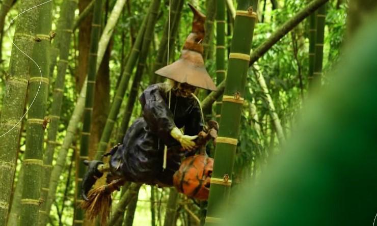 Leyendas del Valle del Cauca, folclore y aventura de espanto