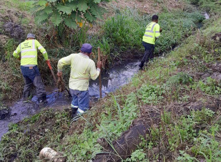 Ml | Limpieza de drenajes y cunetas.