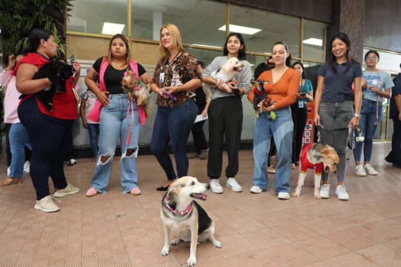 Crean conciencia sobre el cuidado de las mascotas con el “Tina Day”