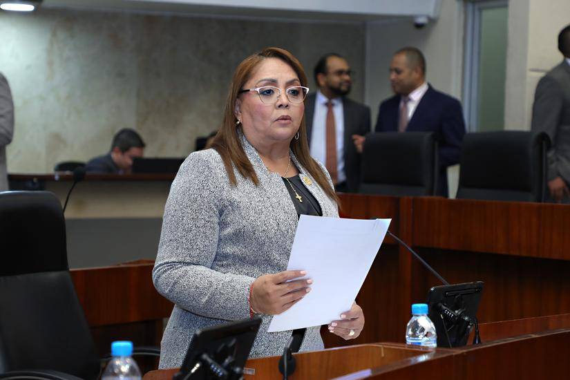 ML | La diputada Dana Castañeda, presidenta de la Asamblea.