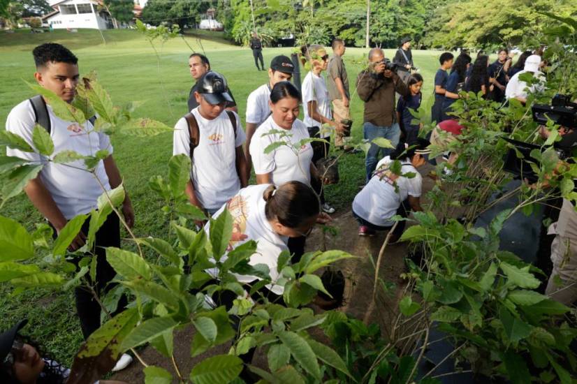 Siembra de 500 Guayacanes en el Parque Omar reúne a más de 100 voluntarios