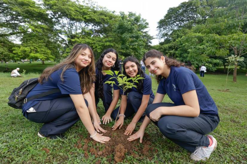 Siembra de 500 Guayacanes en el Parque Omar reúne a más de 100 voluntarios