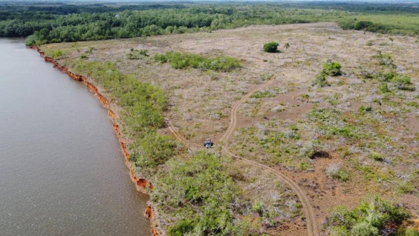 Puerto Barú aclara que no desarrollará proyecto en zona de manglares en David