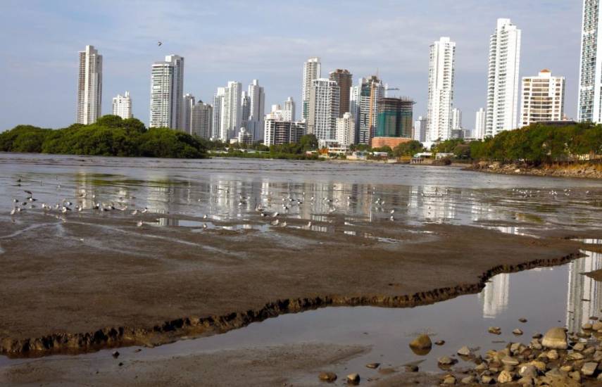 ML | Humedales de Panamá Viejo.