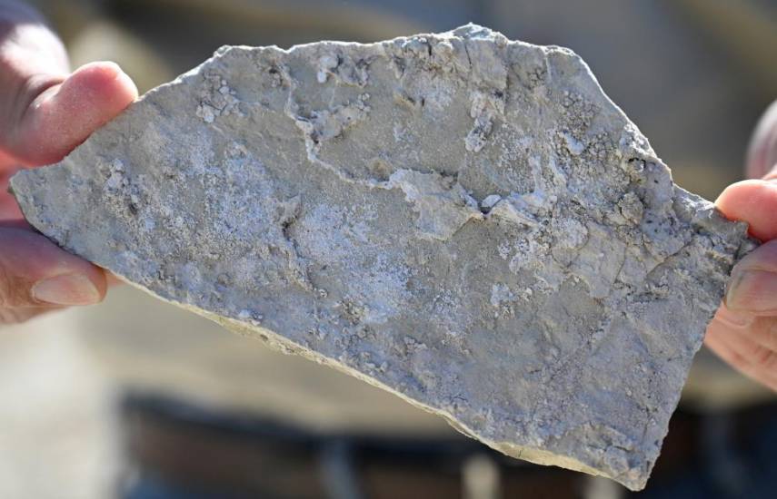 (FILES) A piece of searlesite, a rock that contains both lithium and boron, is displayed during a visit to the Rhyolite Ridge Project Lithium-Boron mining project site in Rhyolite Ridge, Nevada on May 7, 2024. - An enormous lithium mine in the Nevada desert has been granted final government approval, the company that has the concession said on October 24, 2024, in a project it predicts will quadruple US production of a mineral critical to the renewable energy revolution. Operations at Rhyolite Ridge will produce enough lithium to supply the batteries for more than 370,000 electric vehicles every year, Australian operator Ioneer said. (Photo by Robyn Beck / AFP)