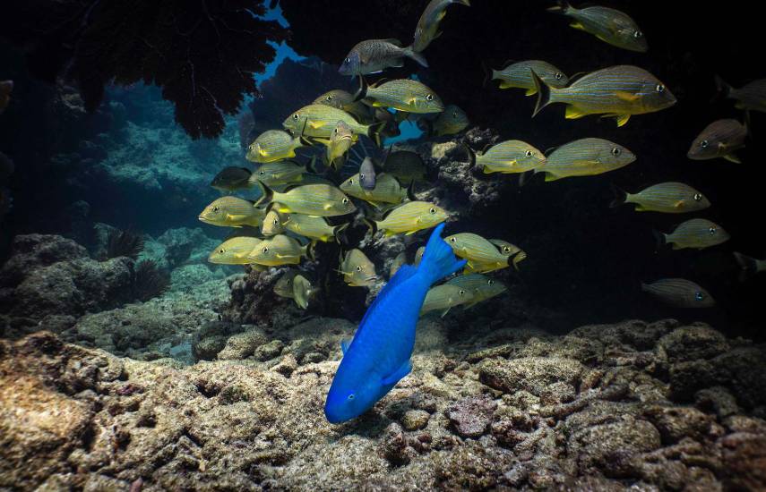 Una exposición para cuidar el ambiente