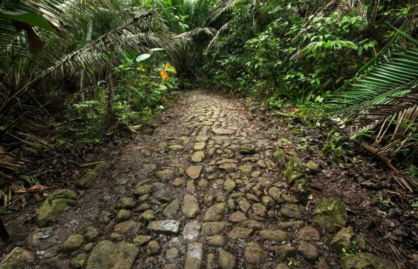 Parques, los pulmones verdes de la ciudad de Panamá