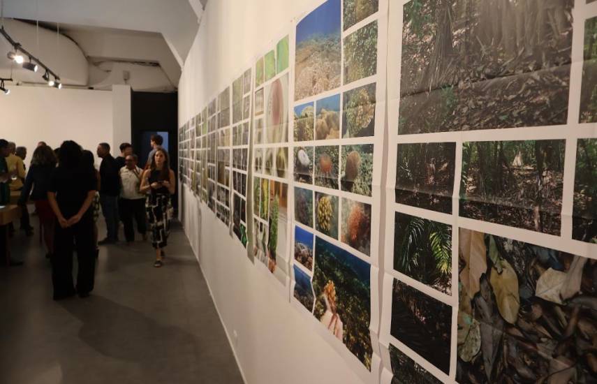 Exposición simultánea en el Museo de Arte Contemporáneo