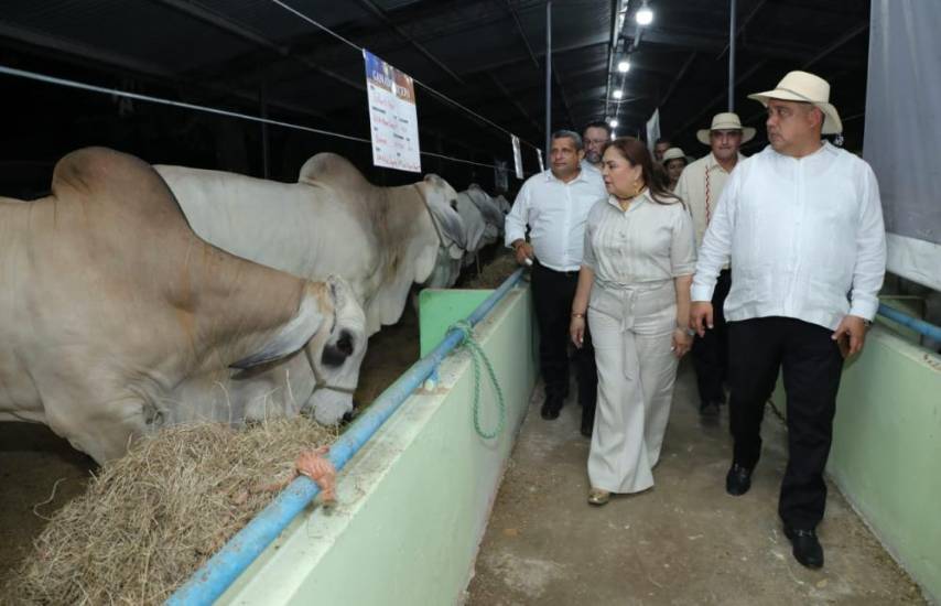 Feria de San Sebastián de Ocú abre sus puertas con éxito