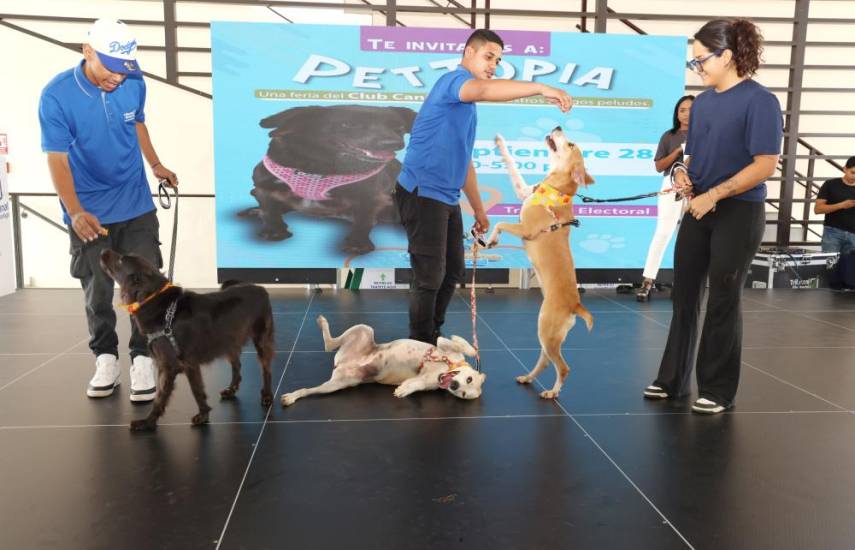 Tribunal Electoral celebra jornada “Pettopia” en honor a las mascotas