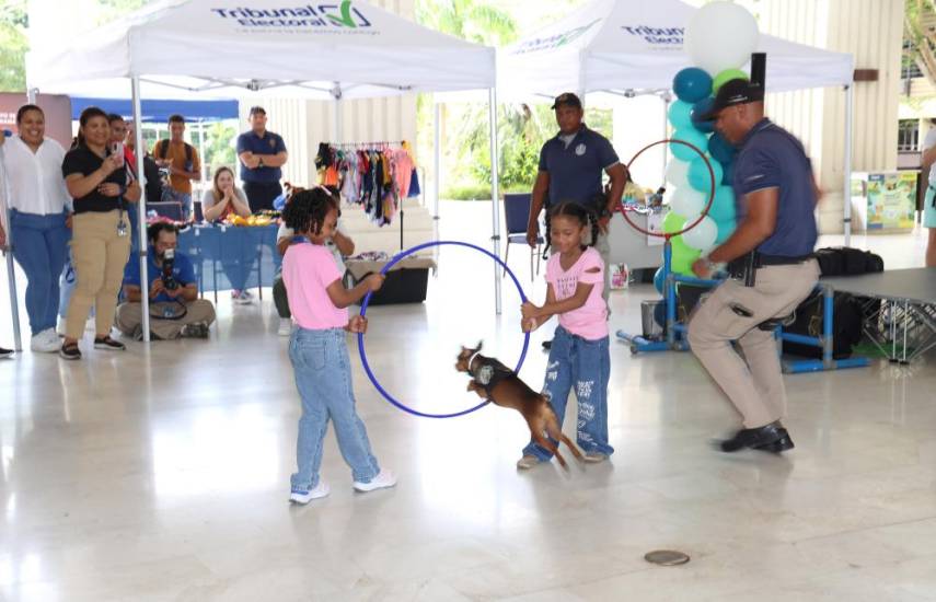 Tribunal Electoral celebra jornada “Pettopia” en honor a las mascotas