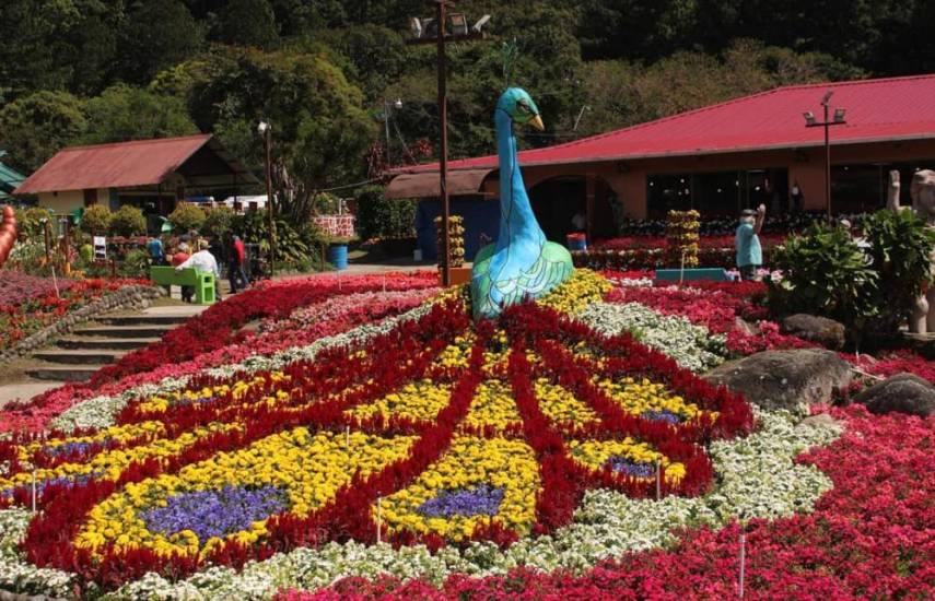 Los impresionantes jardines de la Feria de las Flores