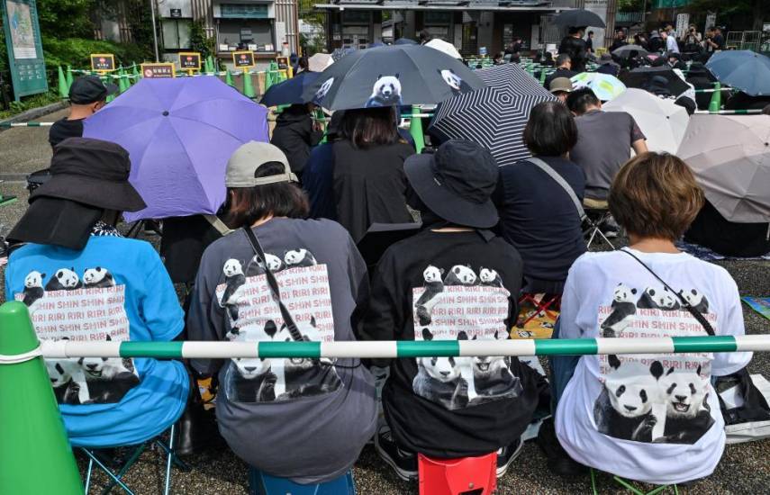 Miles de japoneses se despiden de dos pandas que regresarán a China