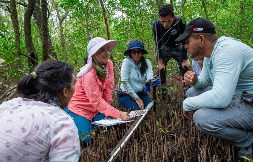 Smithsonian: Conociendo las reservas de carbono azul de Panamá