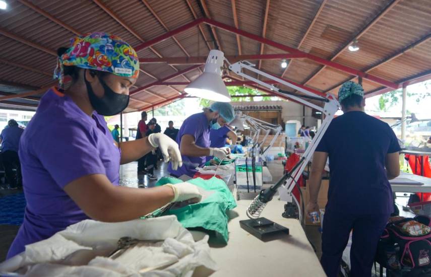 ML | Durante la jornada de esterilización.