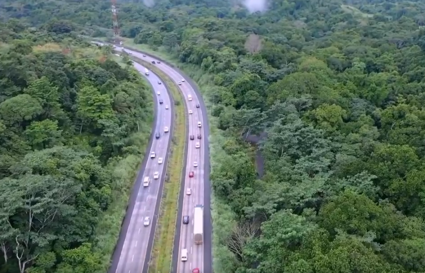 Alcaldesa anuncia desarrollo del proyecto Vía Forestal Arraiján