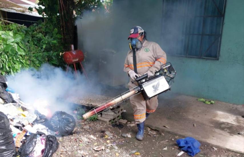 Panamá suma 29,229 casos y 50 muertos por dengue