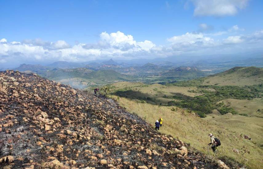 Extinguen incendio forestal en cerro guacamaya