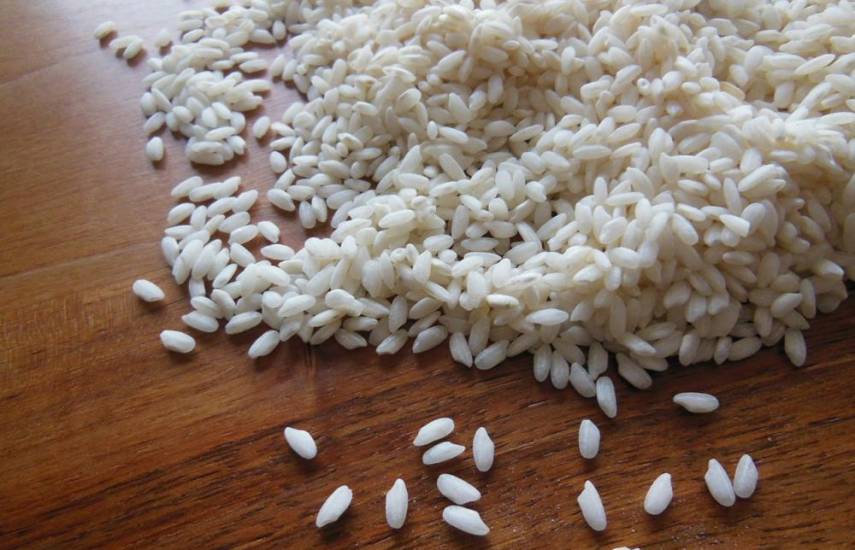 Panamá siembra unas 90 mil hectáreas de arroz