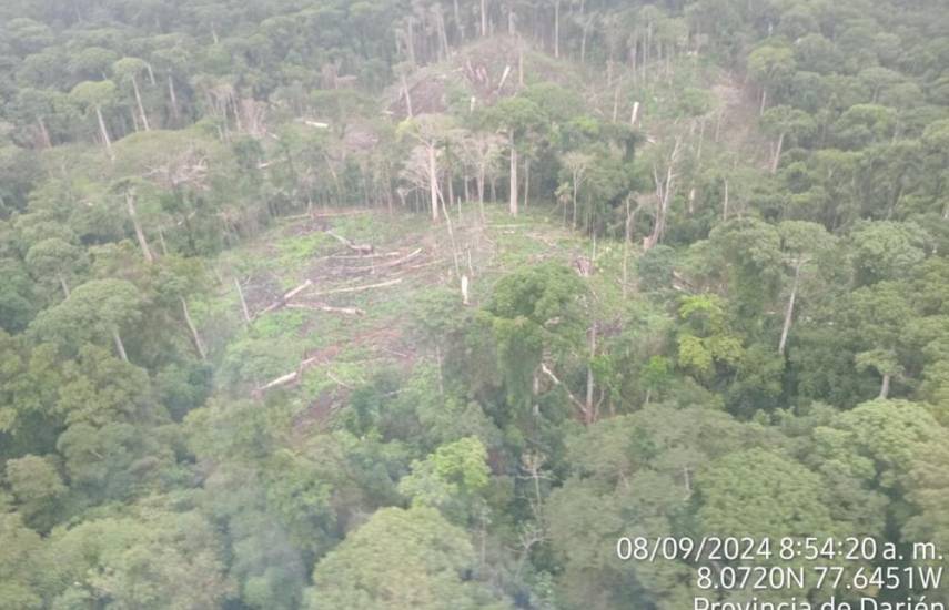 Suspenden permisos forestales en comarcas Emberá Wounaan y Wargandí