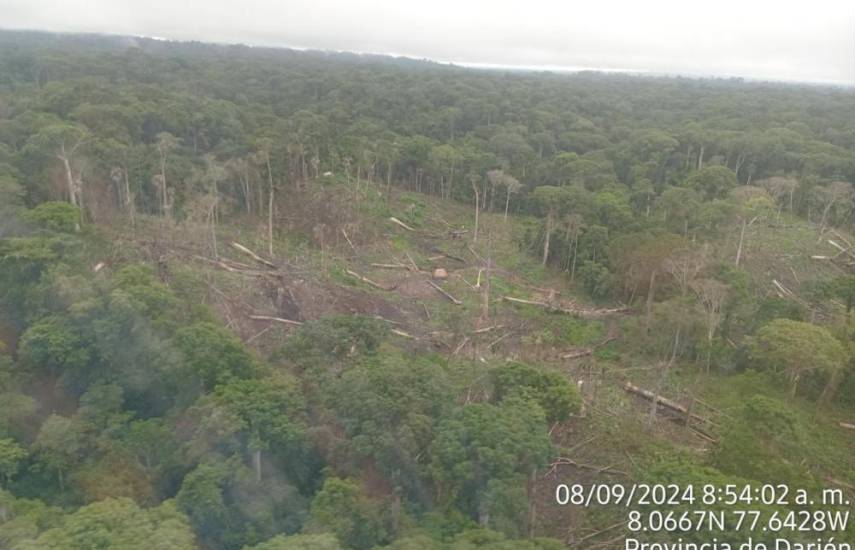 Suspenden permisos forestales en comarcas Emberá Wounaan y Wargandí