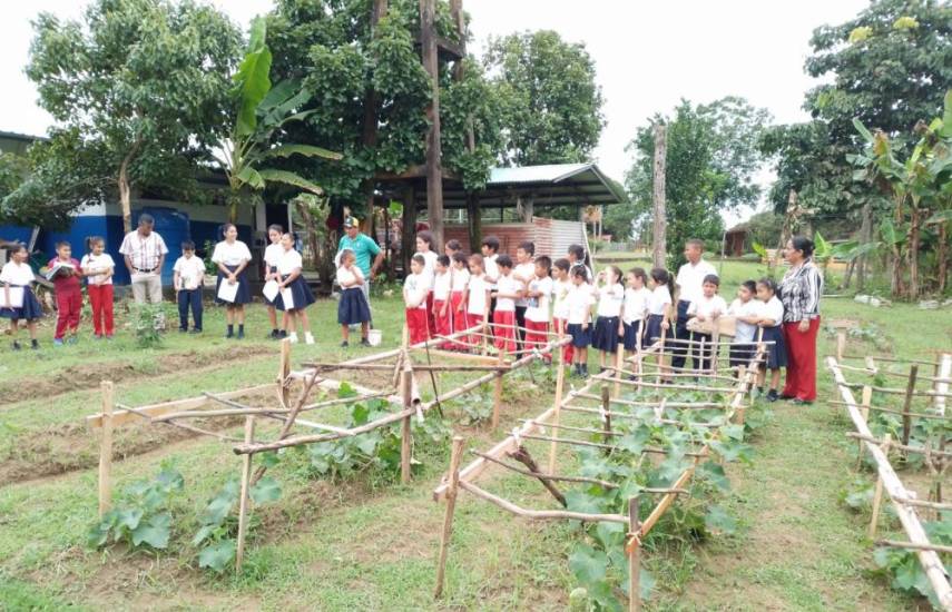 62 huertos escolares en Coclé, Herrera y Colón reciben insumos avícolas