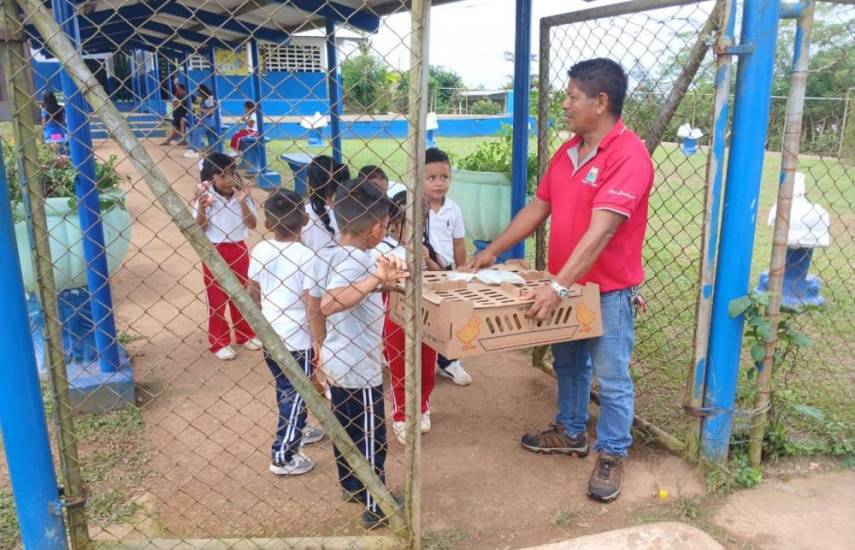 62 huertos escolares en Coclé, Herrera y Colón reciben insumos avícolas